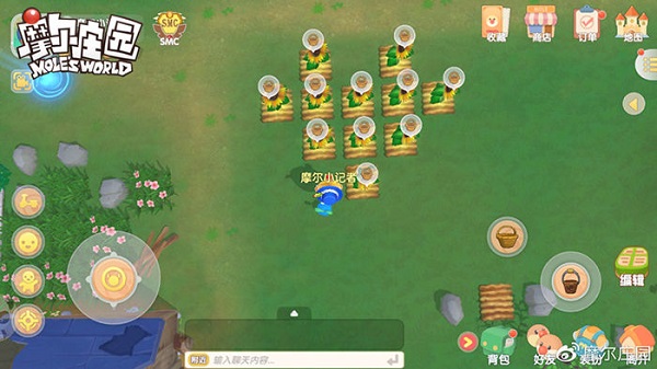 202206062150322684860004 202206062150322684860004