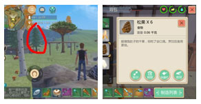 202206062209198236280006 202206062209198236280006