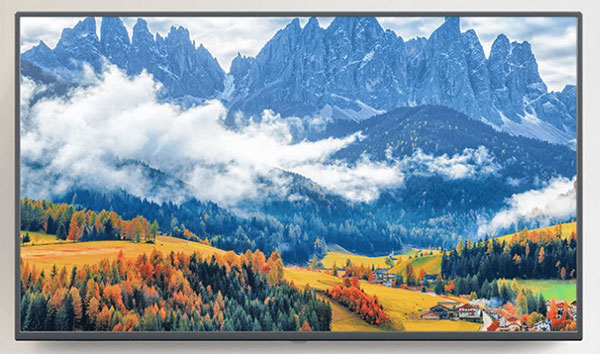 202206070001156437890004