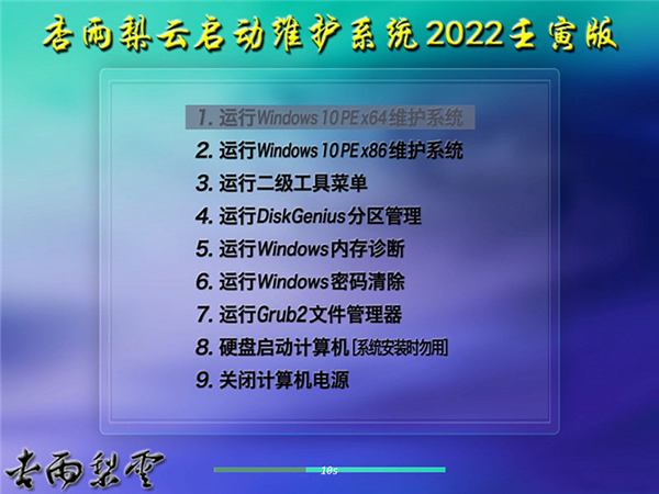 杏雨梨云启动维护系统2022壬寅版